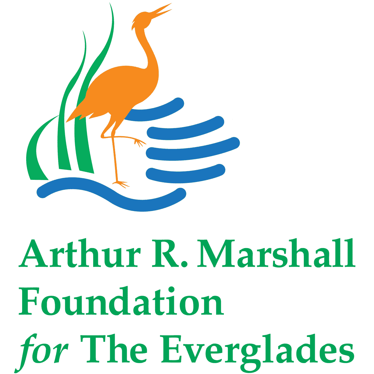 Marshall-Foundation